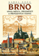 přebal knihy Brno – vývoj města, předměstí a připojených vesnic